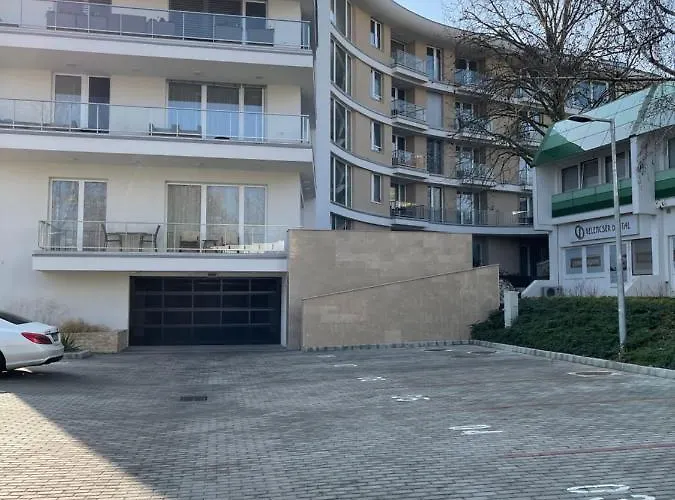 Carbona Royal 1.11 *