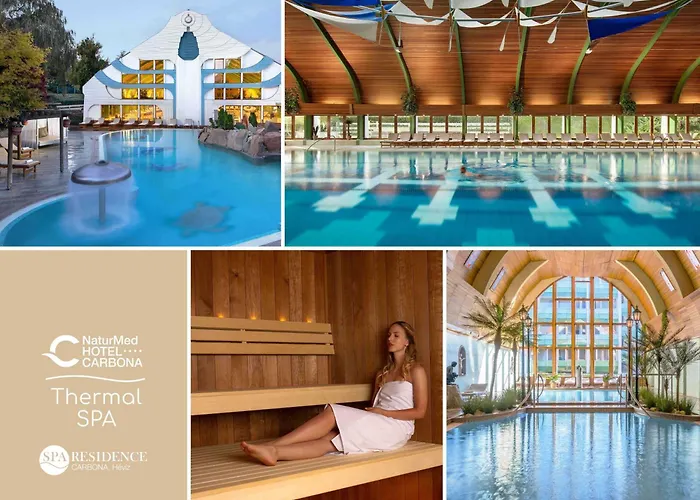 Апартаменты Carbona Royal 1.11 *